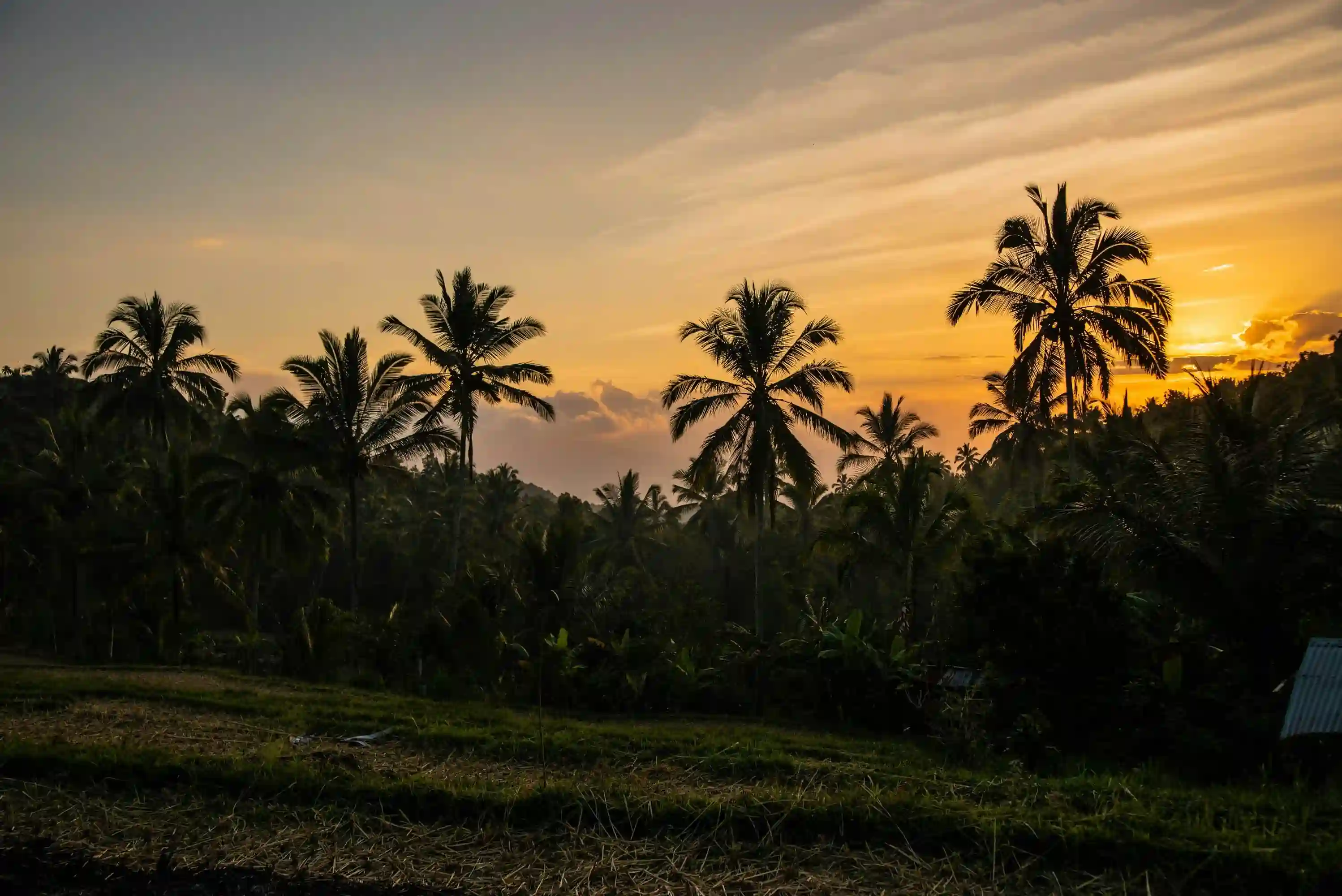 Misty mountain view with lush greenery near Munduk, Bali